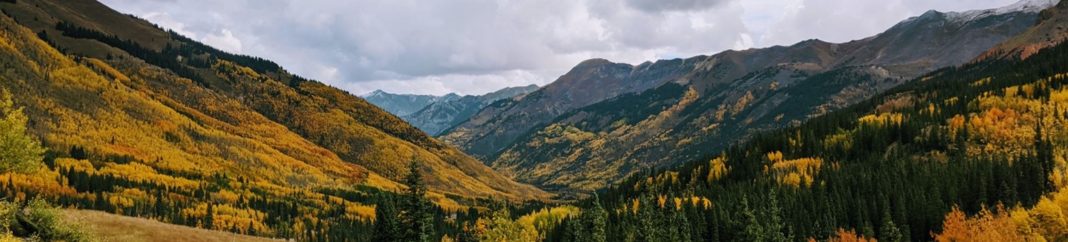 Fall colors looking north from the Idarado Mine on Red Mountain Pass in Ouray County