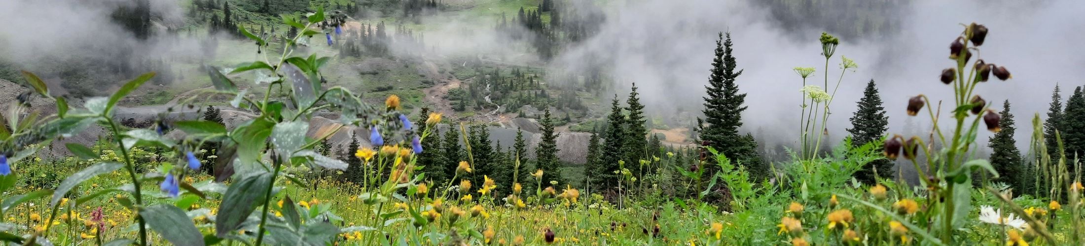 View of landscape - low hanging clouds in a high mountain alpine valley
